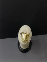 انگشتر اکسسوری کد 810