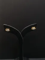 گوشواره اکسسوری کد 896